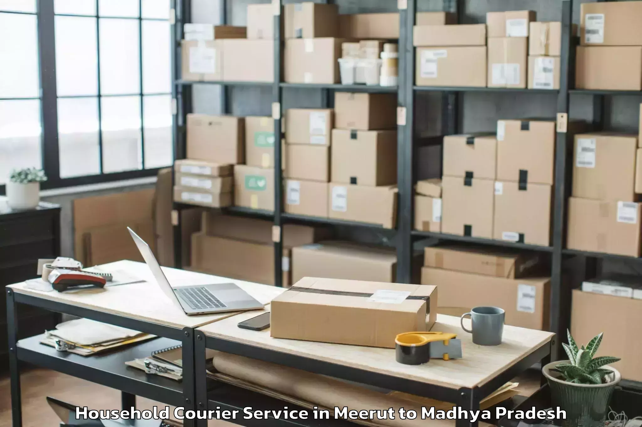 Reliable Meerut to Raghogarh Household Courier